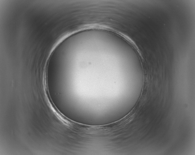 X0000080781391200612151020
