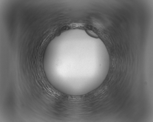 X0000080781393200612151019