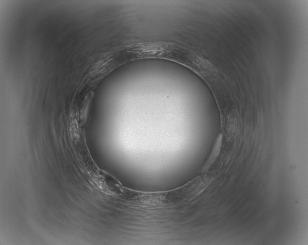 X0000080781394200612151019