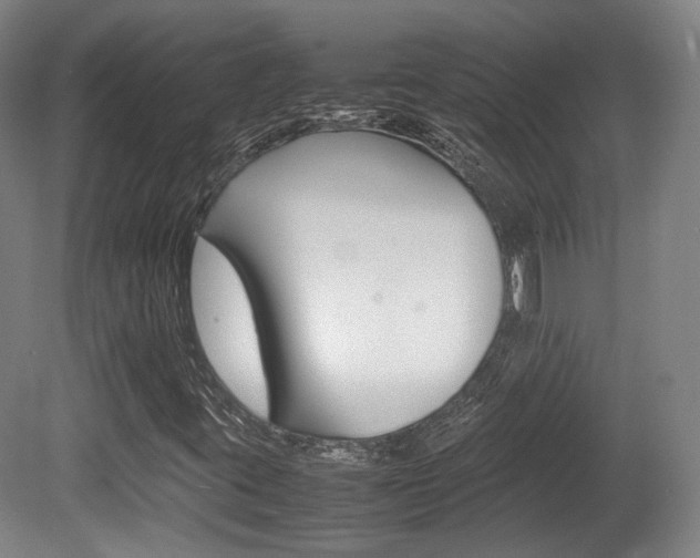 X0000080781395200612151019