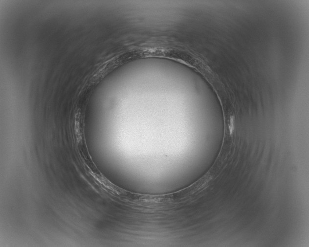 X0000080781396200612151019