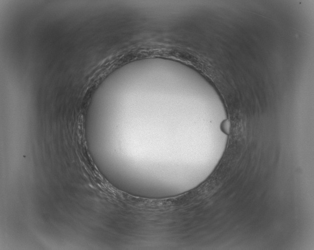 X0000080781397200612151020