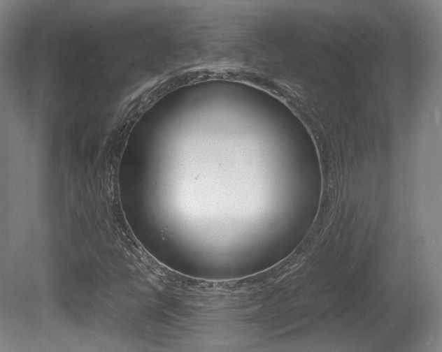 X0000080781398200612151020