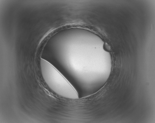 X0000080781400200612151020