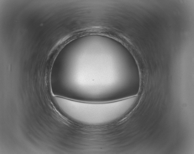 X0000080781402200612151020
