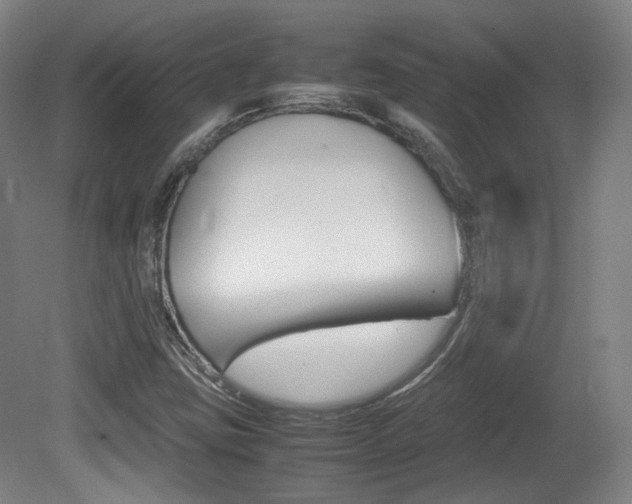 X0000080781403200612151020