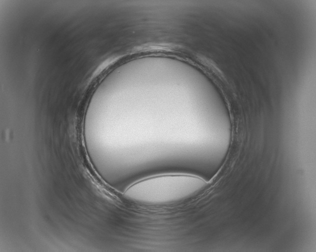 X0000080781404200612151020