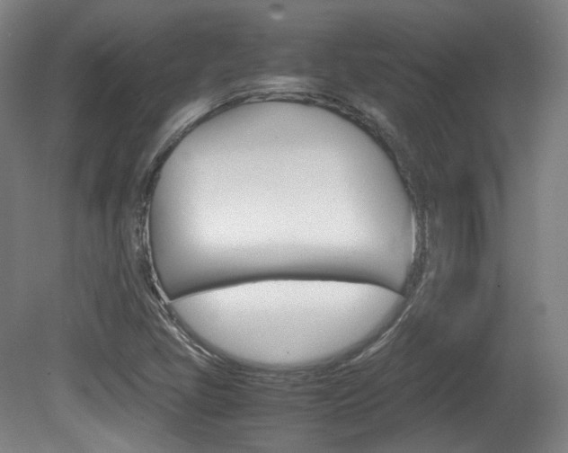 X0000080781405200612151020