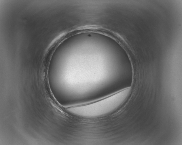 X0000080781406200612151020