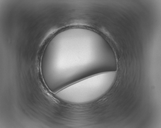 X0000080781408200612151020
