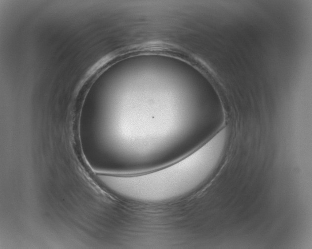 X0000080781410200612151020