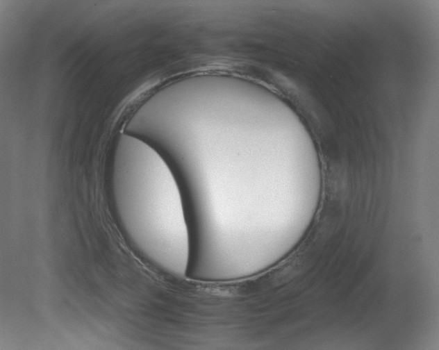 X0000080781411200612151020
