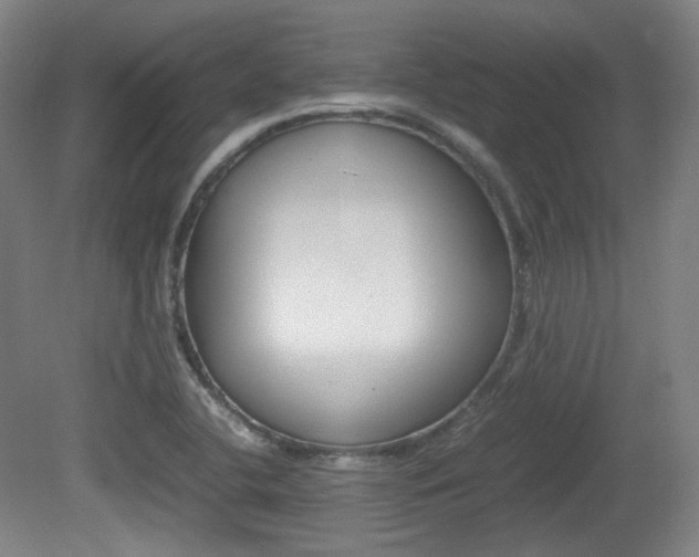 X0000080781412200612151020
