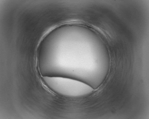 X0000080781413200612151020