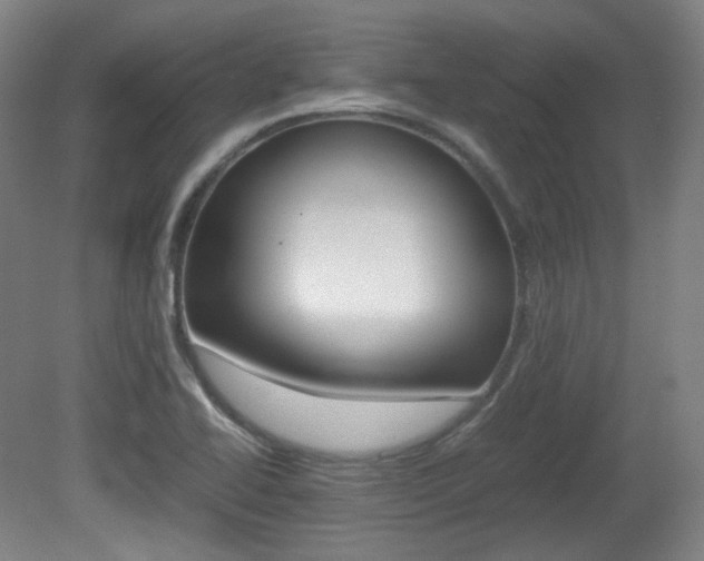 X0000080781414200612151020