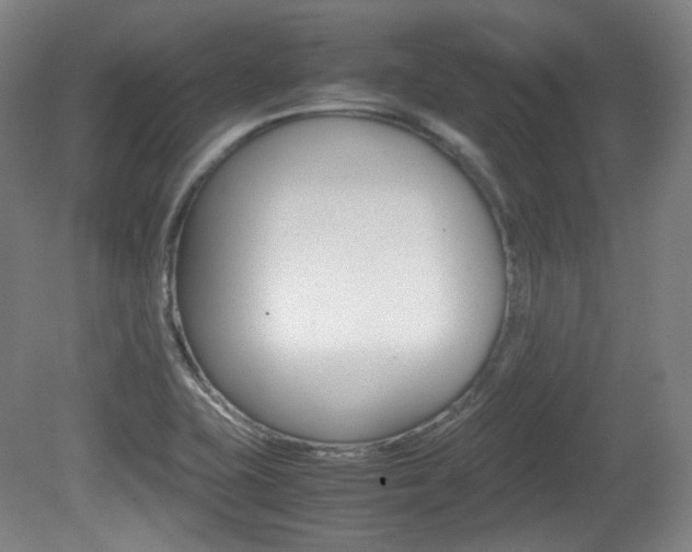 X0000080781415200612151020