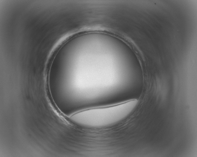 X0000080781416200612151020