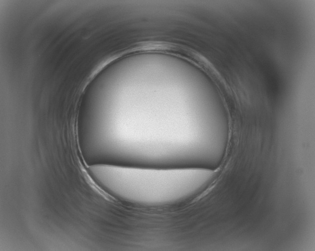 X0000080781417200612151020