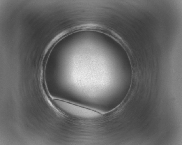 X0000080781418200612151020