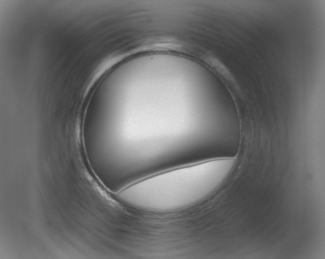 X0000080781420200612151020