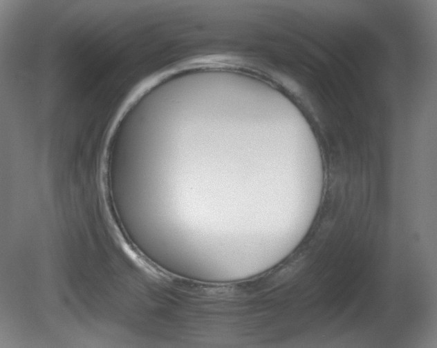X0000080781421200612151020
