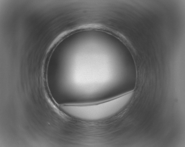 X0000080781422200612151020