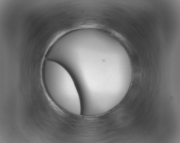 X0000080781423200612151020
