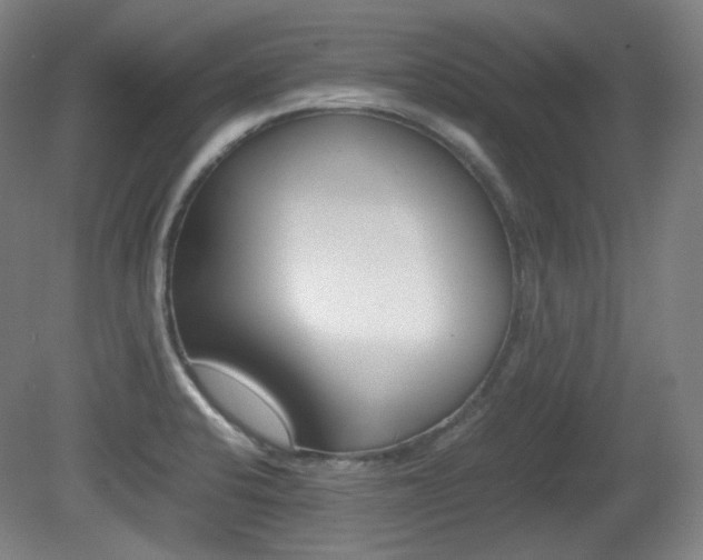 X0000080781424200612151020