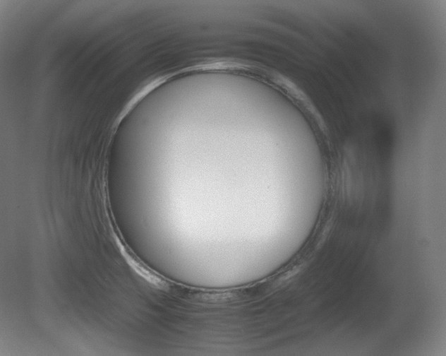 X0000080781425200612151020