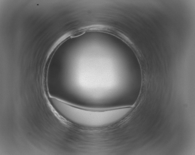 X0000080781426200612151020