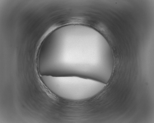 X0000080781427200612151020