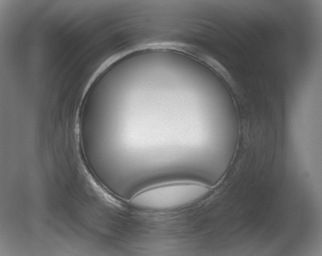 X0000080781428200612151020