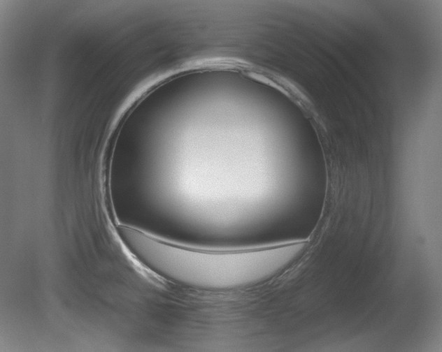 X0000080781430200612151020