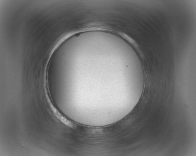 X0000080781431200612151020