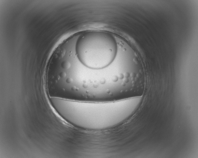 X0000080781432200612151020