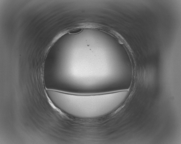 X0000080781433200612151020