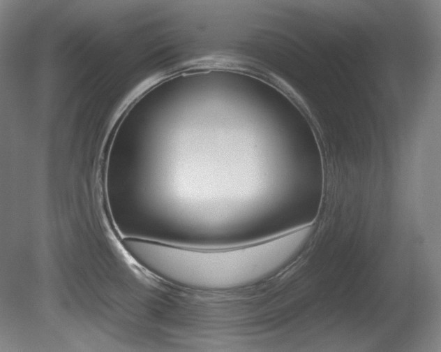 X0000080781434200612151020