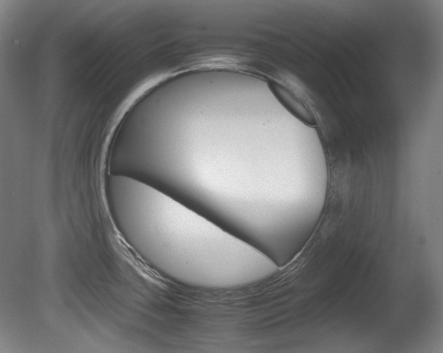 X0000080781435200612151020
