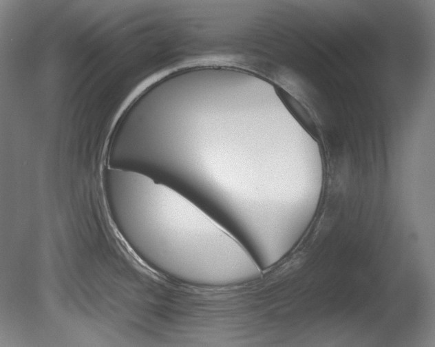 X0000080781436200612151020