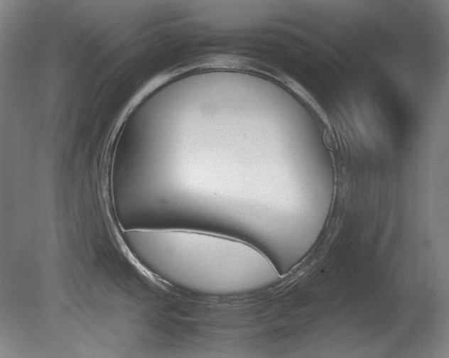 X0000080781437200612151020