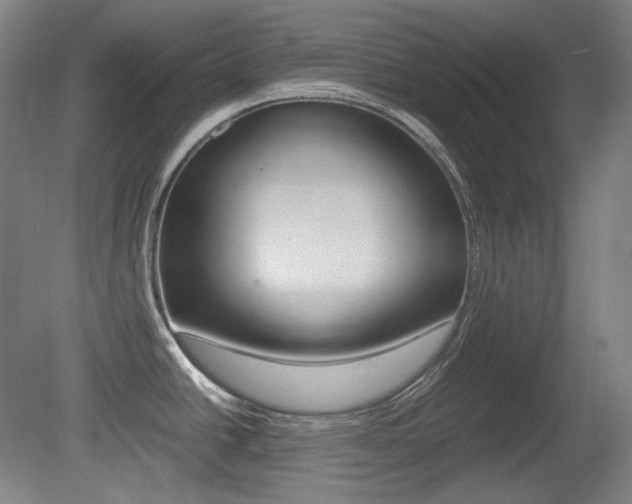 X0000080781438200612151020