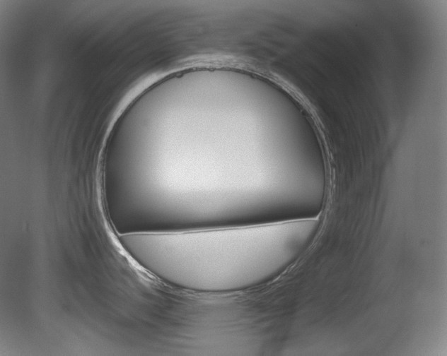 X0000080781440200612151020