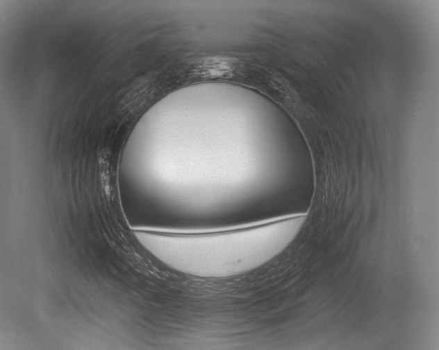 X0000080781442200612151019