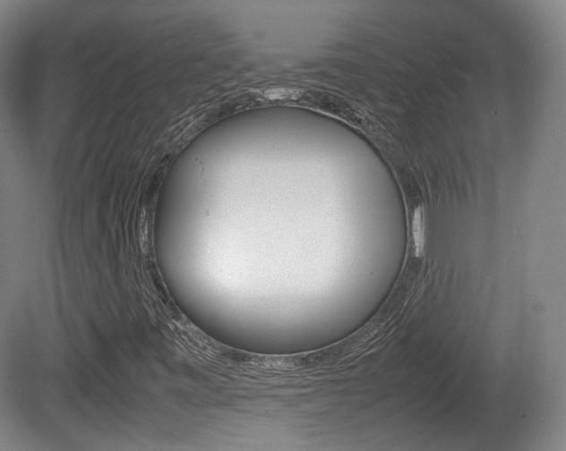X0000080781443200612151019