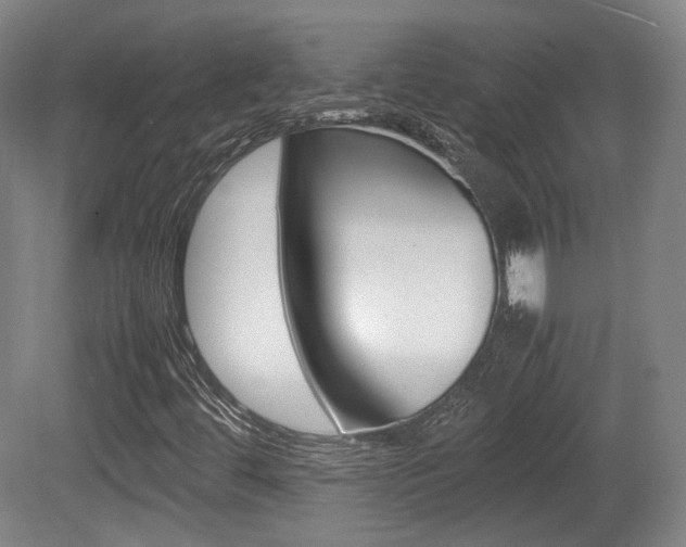 X0000080781444200612151019
