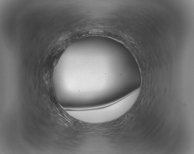 X0000080781445200612151019