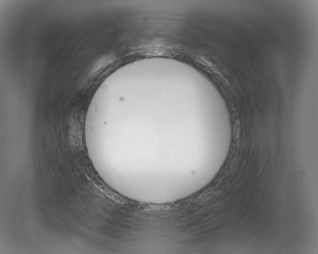 X0000080781446200612151019