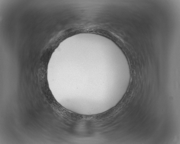 X0000080781447200612151019