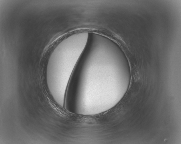 X0000080781448200612151019