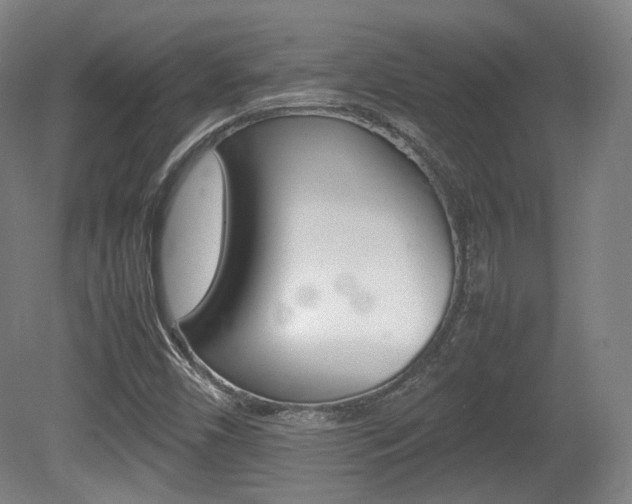 X0000080781450200612151019